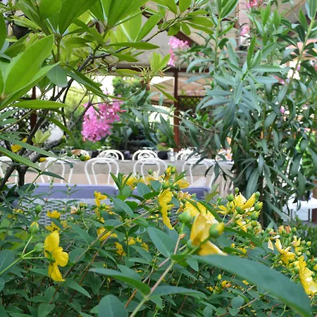 Giardino Отель